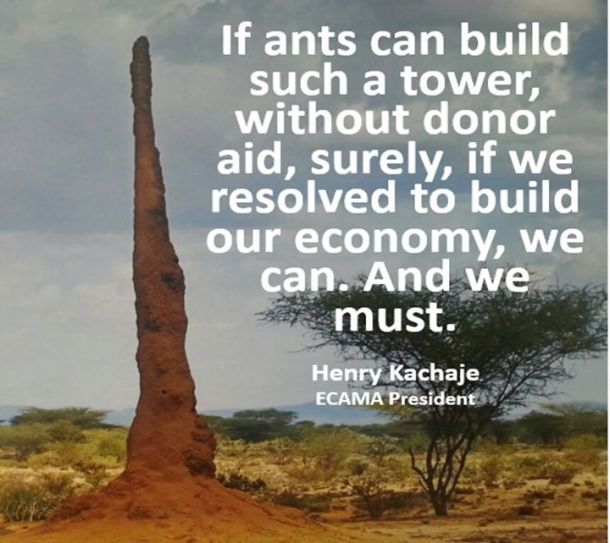 ANTS AND DEVELPMENT